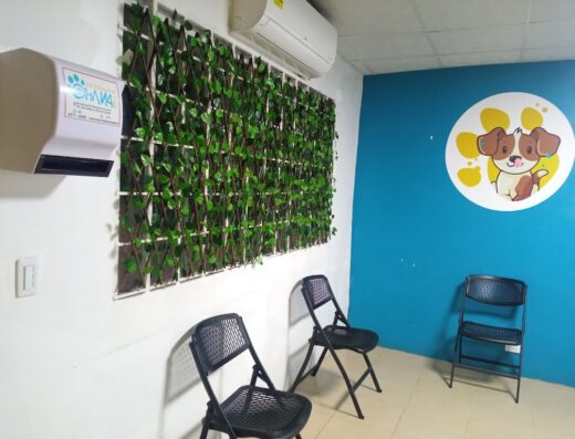 Veterinaria Ohana Pets