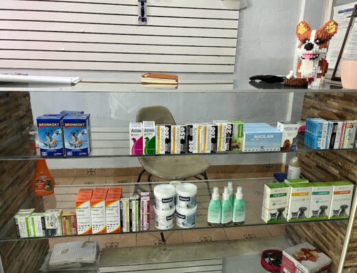 Clínica Veterinaria San Martin