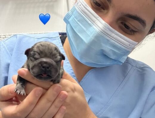 Hospital Veterinario VM Santa Librada