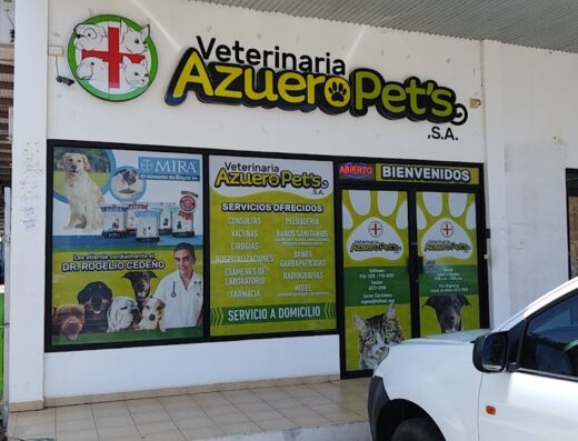 Veterinaria Azuero Pets