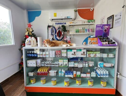 Clínica Veterinaria Petchoice