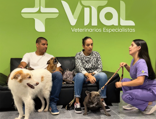 Vital Clínica Veterinaria de Especialistas.