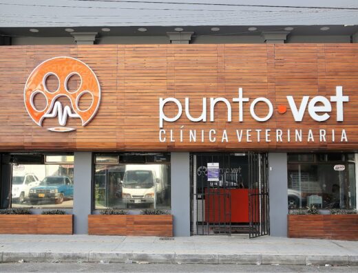 Veterinary clinic in Medellin | point Vet