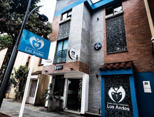 VETERINARY CENTER CLINICAL LOS ANDES
