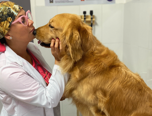 PET SHOP ANIMAL HOSPITAL