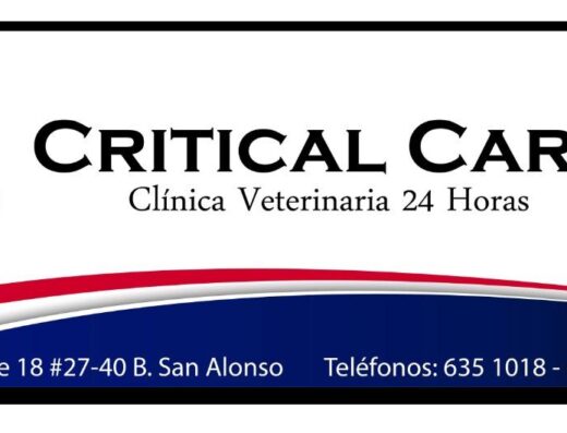 Critical Care Veterinary Clinic