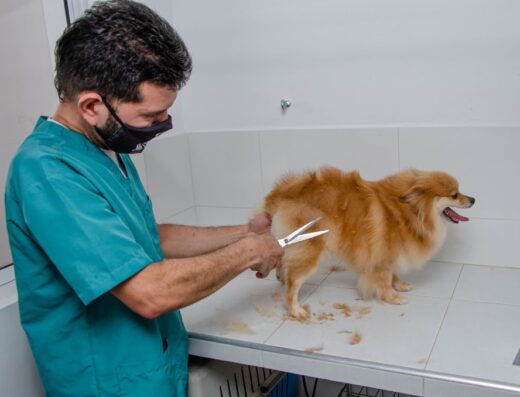 Veterinaria Mr Guau