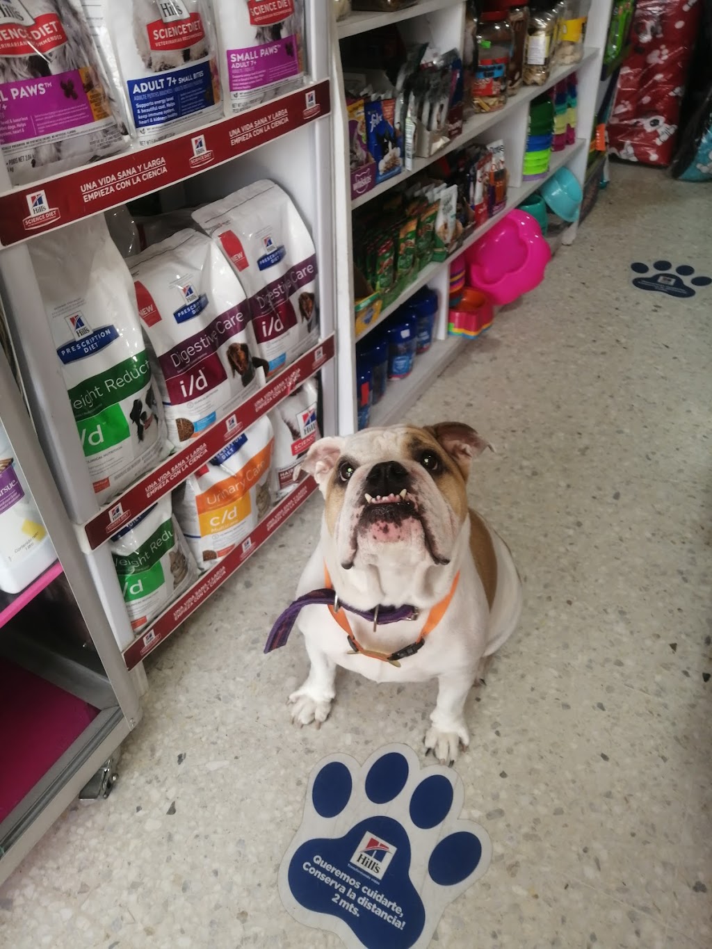 SUPER MERCADO DE MASCOTAS FIONA PET MARKET FIONA