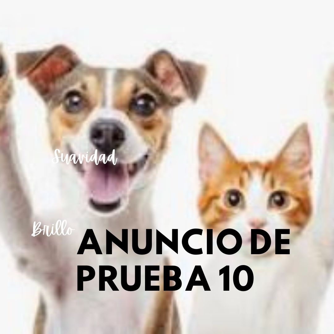 Perrito criollo, Anuncio de prueba